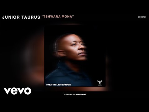 Junior Taurus - Tshwara Mona (Official Audio) ft. BEAN RSA, Secret