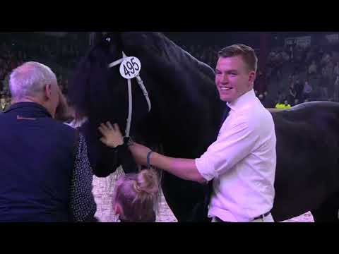 HK 2023 | Algemeen kampioenschap