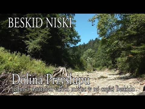 🇵🇱 BESKID NISKI » Dolina Przysłupu, jedno z ostatnich takich miejsc