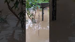 Download lagu banjir Desa Muara Lambakan 05-01-2021 mp3