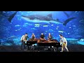 UNDER THE SEA 2 PIANOS GEORGIA AQUARIUM