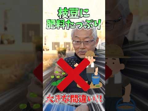 堆肥に肥料を入れてもいいですか？何のために ？避けるべき間違いは何ですか?  庭園