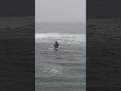 Sonny Evans  - Shelly Beach