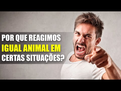 Por que reagimos igual animal em certas situações? PNL  (Reações mentais)