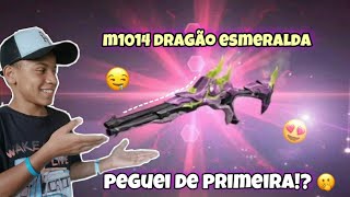 TENTANDO PEGAR A * M1014 DRAGÃO ESMERALDA * SERÁ QUE CONSEGUI!? | FREE FIRE | ESCOLHA ROYALE