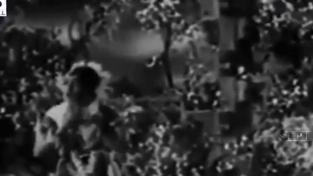 Panaghat Pe Dekho Aai Milan Ki Belaa Lyrics | Naujawan | Mohammed Rafi, Geeta Dutt | Sachin Dev Burman