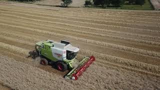 Loonbedrijf Hertigers | Graan dorsen | CLAAS Lexion 650 | CLAAS C 660