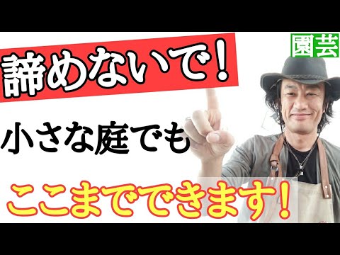 キンレンカを登る