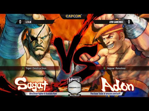 USFIV: Leslie vs Gamerbee - CPT Asia Finals