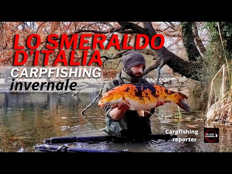 - The Emerald of Italy - Winter Carp Fishing