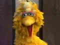 Classic Sesame Street Love Amy