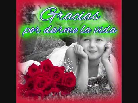 Love phrases with Roses Video