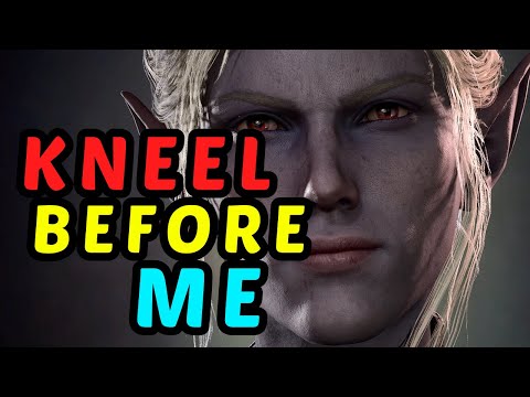 The TYRANNICAL TAUNTER - BG3's Only True Tank - Minthara / Paladin Honour Guide - Modded Bg3