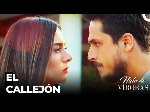 Todo Lo Que Me Pasa Es Por El Amor - Nido De Víboras