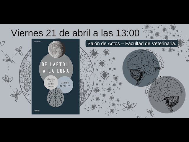 Vídeo relacionado con De Laetoli a la Luna: El insólito viaje del cerebro humano (Drakontos)