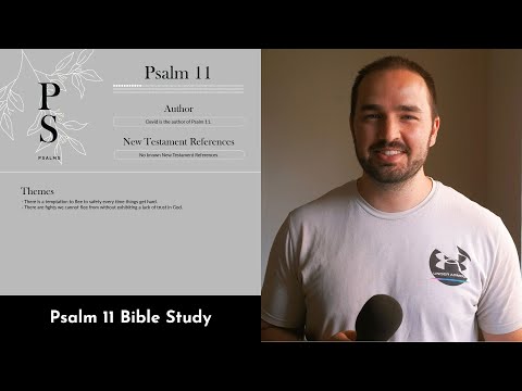 Psalm 11 Summary: 5 Minute Bible Study