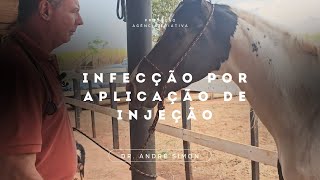 Injection Infection | André Simon - Vet Raiz