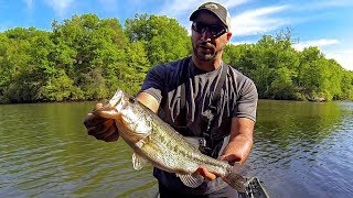 Post Spawn Bass Fishing (KILLER DAY JUNK FISHING!!!)