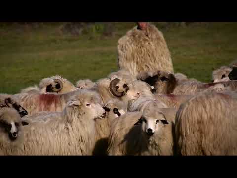 Lele Crăciunescu şi Alexandra Creț - Unde-s doi şi se iubesc