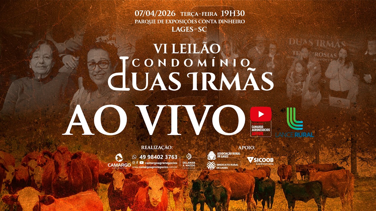 VI Leilão Condominio Duas Irmãs.