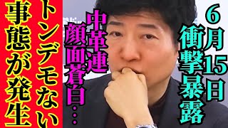 ※日本国民の感情を逆撫でした結果…史上最悪の支持率叩き出し解散確定【中道　今野忍　高市早苗　自民党】
