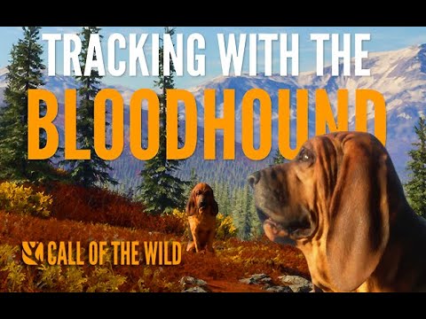 theHunter: Call of the Wild™ - Bloodhound