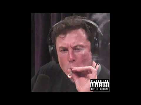 elpiko - Afrykański gibon