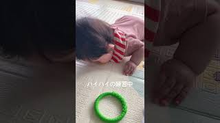ハイハイの練習中#shorts #赤ちゃんのいる生活 #オーストラリア #赤ちゃん #ハイハイ