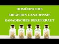 homöopathie erigeron canadensis kanadisches berufkraut