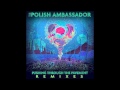 The Polish Ambassador - Gathering of the Tribes (saQi Remix)