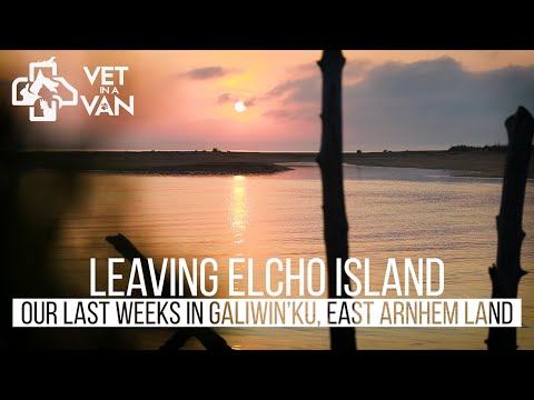 Our last weeks in Galiwin'ku, on Elcho Island - East Arnhem Land