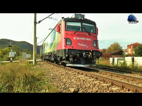 LEMA 480 060-9 & Marfar CER FERSPED Freight Train in Năsăud - 01 October 2022