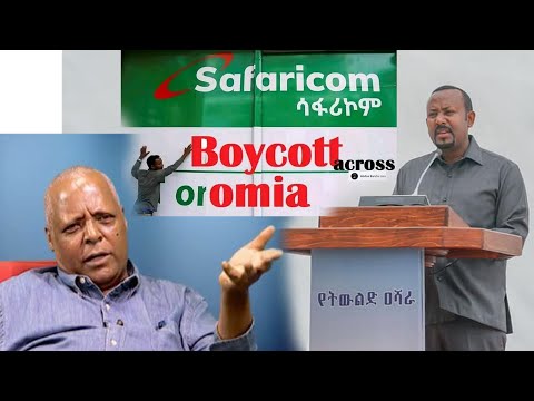 FiB: Axereeraa Miidiyaa (Aug 13. 2022) Finfinnee