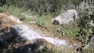 preview picture of video 'san antonio de la cascada mpio de san buenaventura coahuila'
