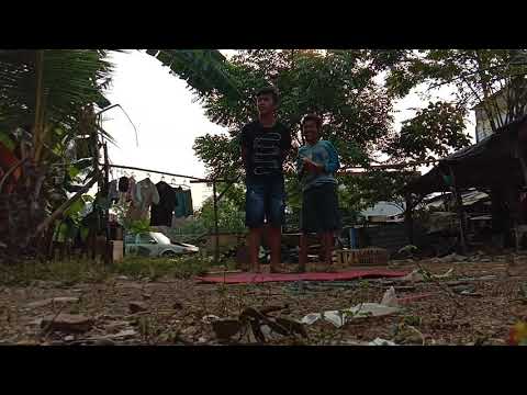 Los door burung dara tmr cengbar