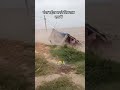 जय गंगा मैया Trending Shorts Jaygangamaiya Kripa Karina Music Song Live