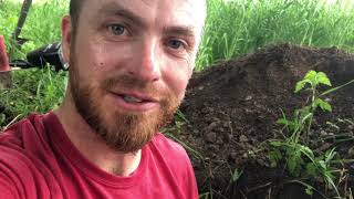 Digging An Outhouse And Metal Detecting A Michigan Creek
