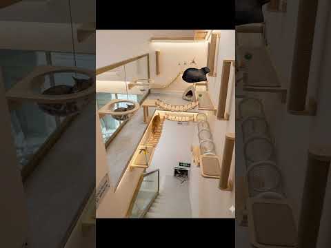 OQUE VOCÊ COLOCARIA AQUI? (PT.3)