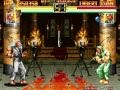 Art Of Fighting Mr KARATE