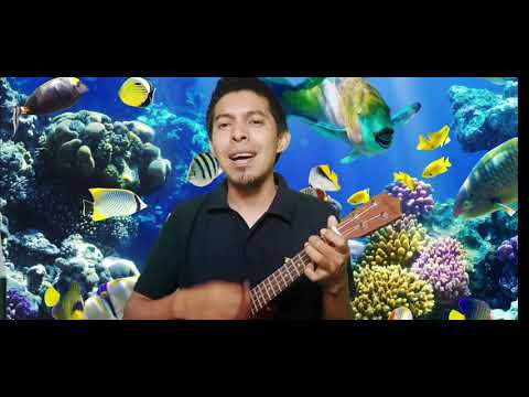 077 – Sea exaltado-TUTORIAL DE UKELELE FACIL