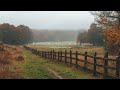 A Fall Piano Playlist For Foggy October Days