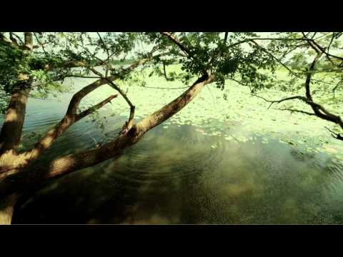 Pine Barata Krishantha Erandaka By RAVINDRA MUNASINGHE