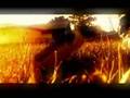 IB 300 Trailer