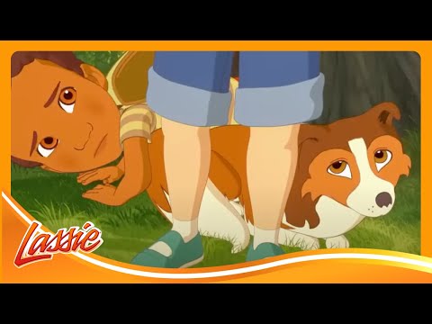 🐶 Puppy Adoption Day | Lassie | Cartoon for Kids @VIEWEDkids