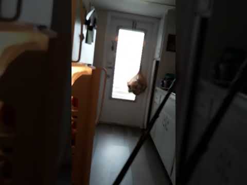 how to close malfunctioning refrigerator door in Florida