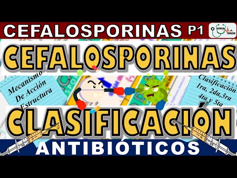 Cephalosporins: Classification and Mechanism of Action | GuiaMed