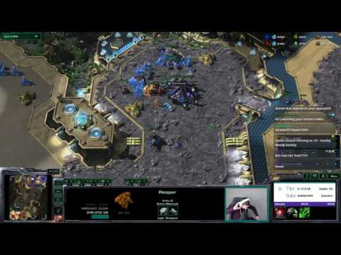 Lowko's impression of Avilo (the best sc2 player in the world)