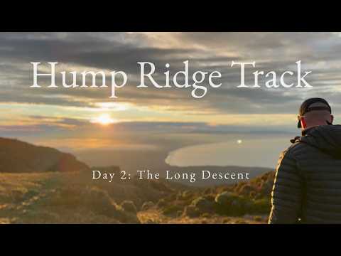 Hump Ridge Track Day 2: The Long Descent