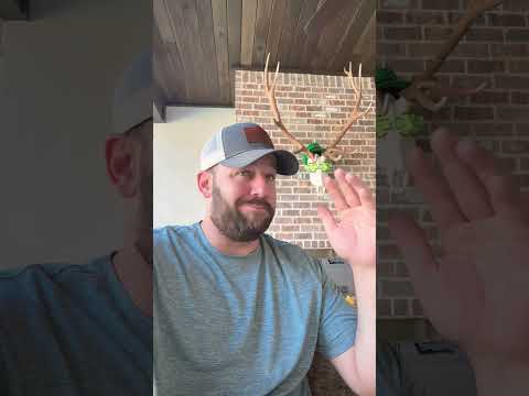 100% Guarantee Why You’ll Win… #shortsfeed #langley #congress #shortsvideo Thumbnail