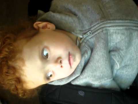 In the monkey exhibit